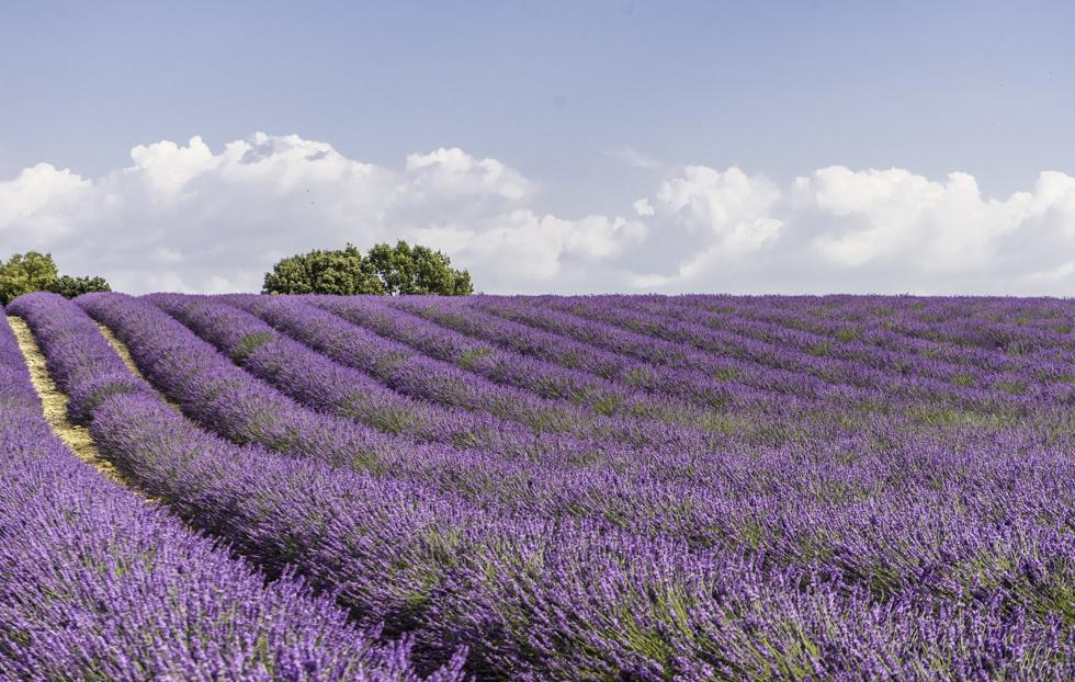 ABUIABAEGAAg2_vGxAYo4JD47AEw1Ac47gQ