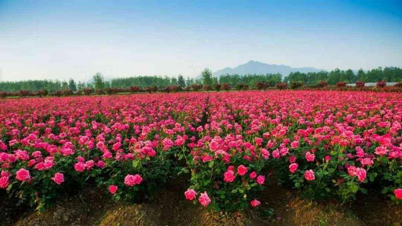 ABUIABAEGAAg6u-GxAYow4_zxAYwngY4wQM