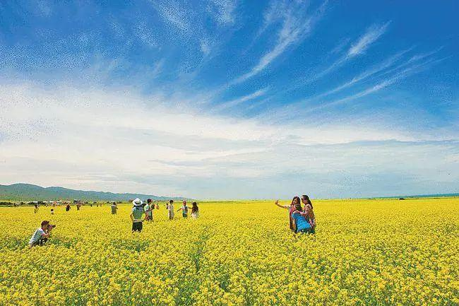 ABUIABAEGAAg7PfGxAYo0IuKoQcwigU4sQM