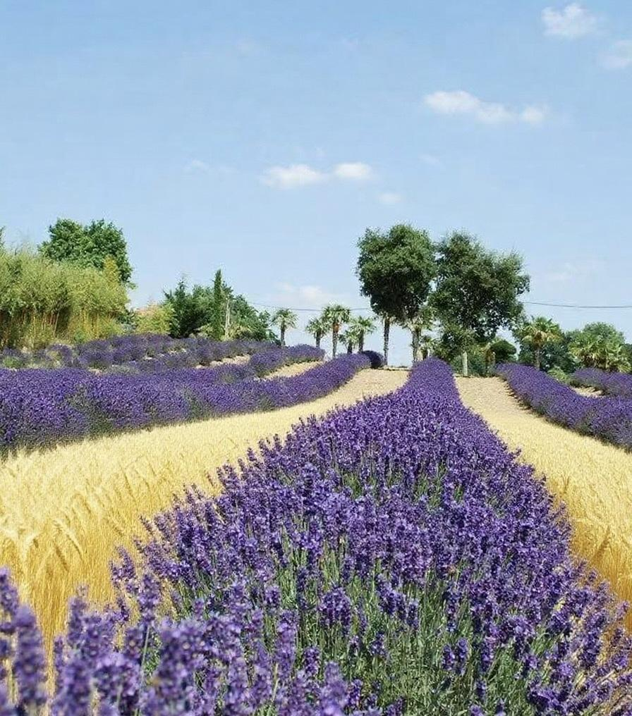 ABUIABAEGAAgovnGxAYoutr80wMwgAc4_Ac